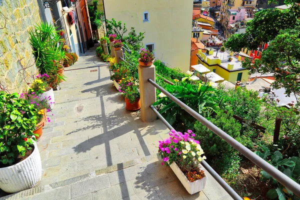 イタリア 風景Riomaggioreカラフルな通り — ストック写真