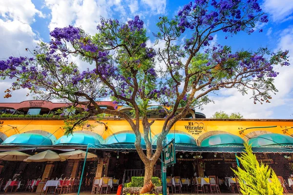 Tepotzotlan Mexico April 2019 Tepotzotlan Streets Colorful Buildings Central Plaza — Stock Photo, Image