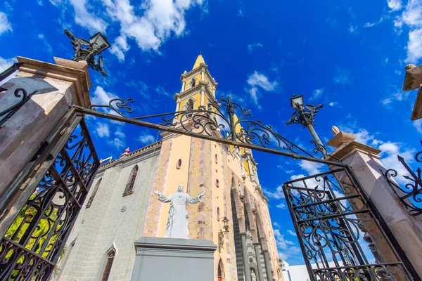 Katedral Immaculate Conception Pusat Kota Bersejarah Mazatlan Centro Historico — Stok Foto
