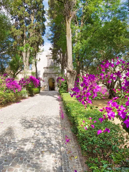 Parco Dell Atrio Degli Ulivi Atrio Los Olivos Fronte Alla — Foto Stock