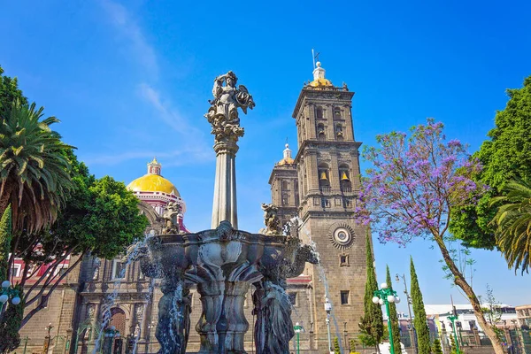 Mexico Puebla Собор Центральній Площі Зокало Історичному Центрі Міста — стокове фото