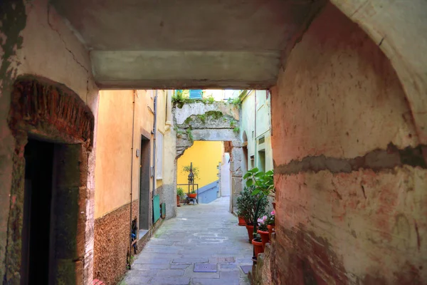 リオマジョーレカラフルな通り イタリアの景色 — ストック写真