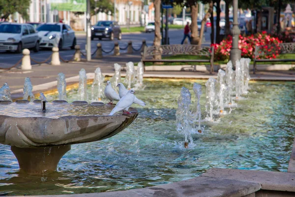 Típica Arquitectura Española Las Calles Córdoba Centro Histórico — Foto de Stock