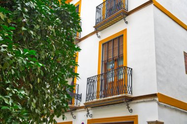 Sevilla caddeleri, tarihi merkezde gün batımında