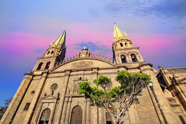 Guadalajara Cathedral Catedral Asunción Nuestra Señora México —  Fotos de Stock