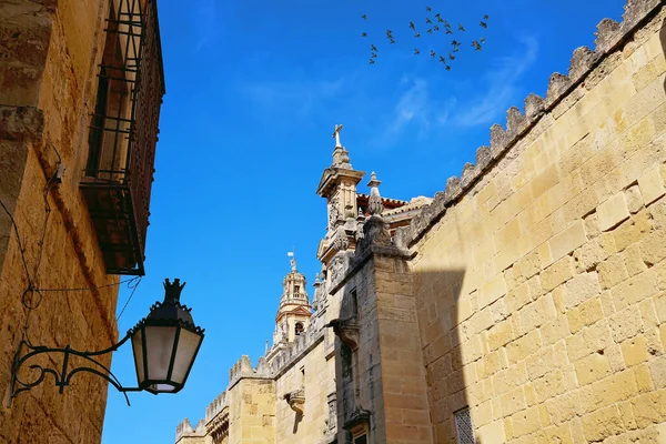 Cathédrale Mezquita Cordoue Espagne — Photo