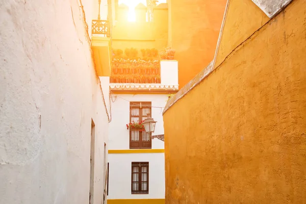 Strade Siviglia Tramonto Nel Pittoresco Centro Storico — Foto Stock