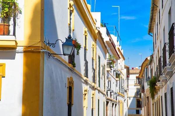 Strade Cordoba Una Giornata Sole Nel Centro Storico — Foto Stock