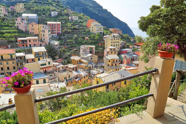 Itálie Riomaggiore Barevné Ulice — Stock fotografie