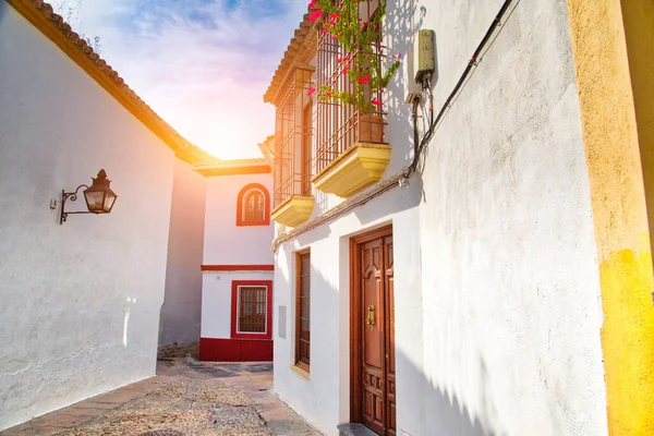 Strade Cordoba Una Giornata Sole Nel Centro Storico Vicino Alla — Foto Stock