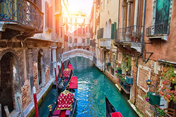Luksusowa Gondola Czeka Turystów Pobliżu Mostu Rialto Wenecji — Zdjęcie stockowe