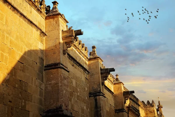 Cathédrale Mezquita Cordoue Espagne — Photo