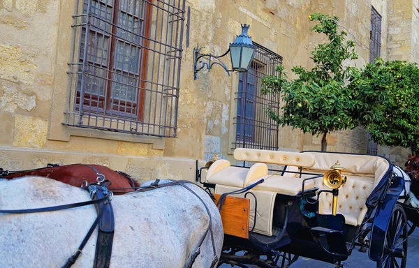 Mezquita Cathedral Κόρδοβα Ισπανία — Φωτογραφία Αρχείου