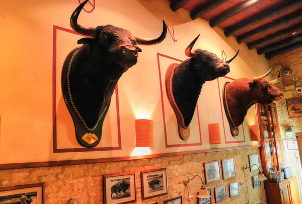 Seville España Octubre 2016 Pub Nocturno Ciudad Histórica —  Fotos de Stock