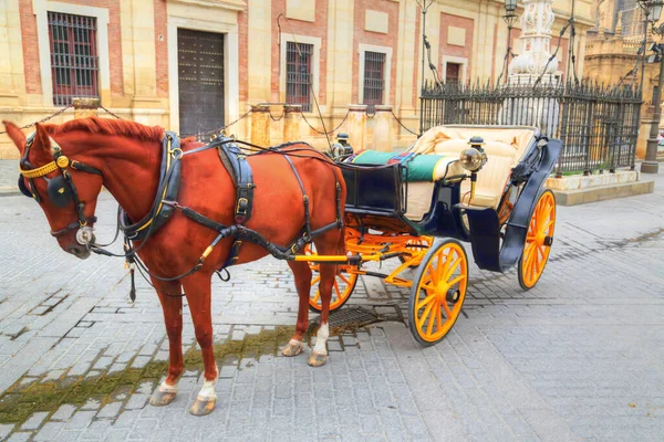 Carruagem Cavalo Frente Catedral Sevilha Santa Maria — Fotografia de Stock