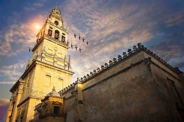 Cattedrale Mezquita Cordoba Spagna — Foto Stock