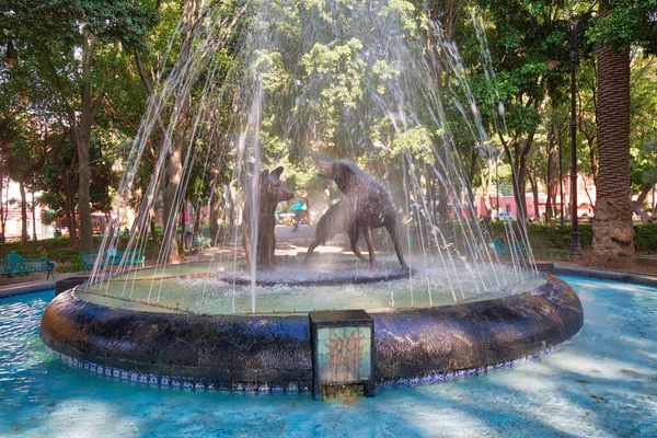 Coyoacán Ciudad México México Abril 2018 Beber Coyotes Estatua Fuente —  Fotos de Stock