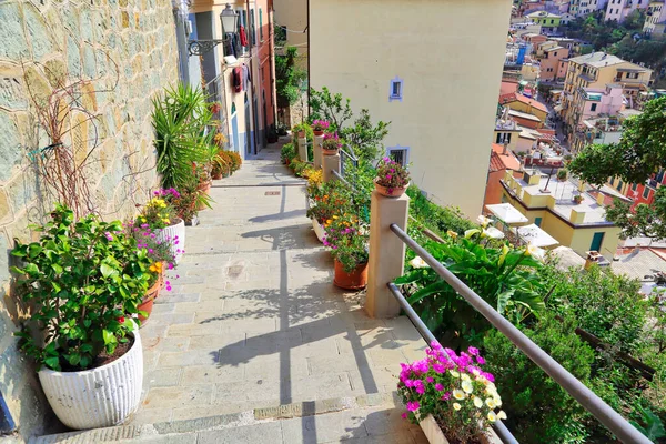 Italy Riomaggiore Colorful Streets — Stock Photo, Image