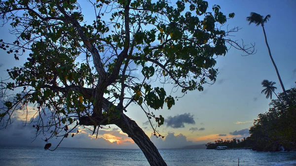 Isla Levantado Strand Bij Zonsondergang — Stockfoto