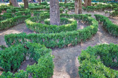 Coyoacan Central Park tarihi şehir merkezinde yer almaktadır