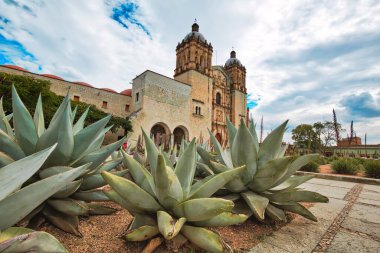 Landmark Santo Domingo Cathedral in historic Oaxaca city center clipart