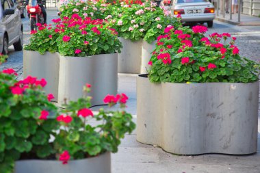 Güzel ve renkli Porto Sokakları