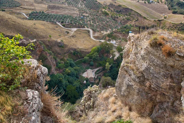 Paisagens Andaluzas Perto Ronda Espanha — Fotografia de Stock