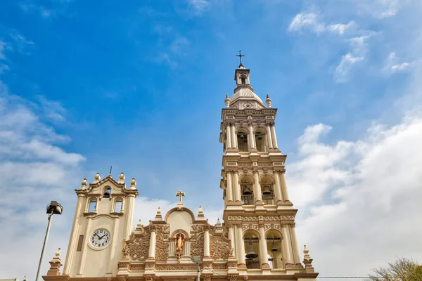 Monterrey Macroplaza Metropolitan Katedrali Katedral Metropolitana Monterrey — Stok fotoğraf