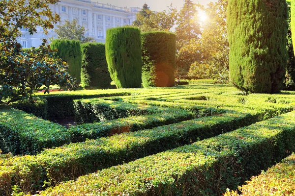 Jardín Del Palacio Real Madrid Día Soleado — Foto de Stock