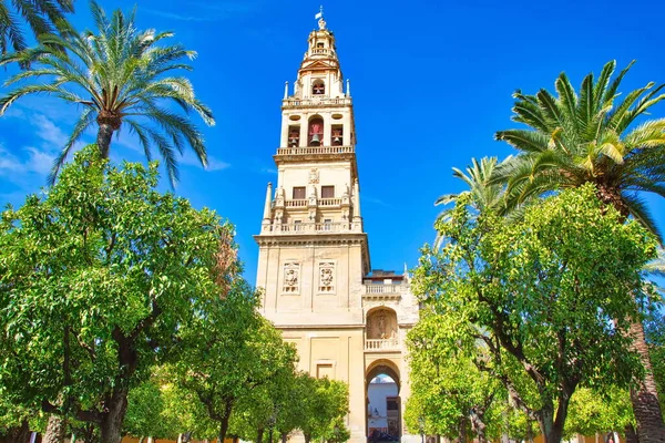 Catedral Mezquita Dia Ensolarado Brilhante Coração Centro Histórico Córdoba — Fotografia de Stock