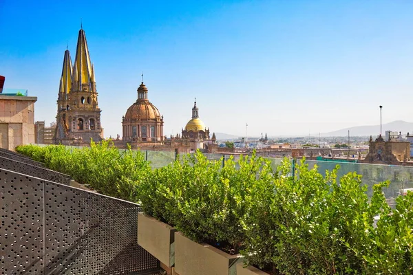 Zentralkathedrale Von Guadalajara Blick Von Einem Luxushotel Auf Dem Zentralen — Stockfoto