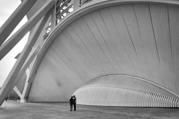 Valencia Spain April 2019 Science Museum Principe Felipe City Arts — Stockfoto