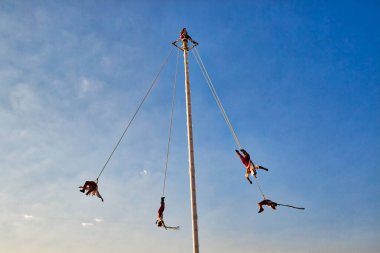 Puerto Vallarta Malecon, Akşam Voladores