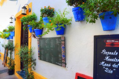 CORDOBA, İSPA 16 Ekim 2016: Mezquita Katedrali önündeki restoran 16 Ekim 2016 'da Cordoba' da