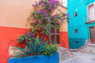Guanajuato, Meksika, tarihi şehir merkezinde manzara renkli sokaklar
