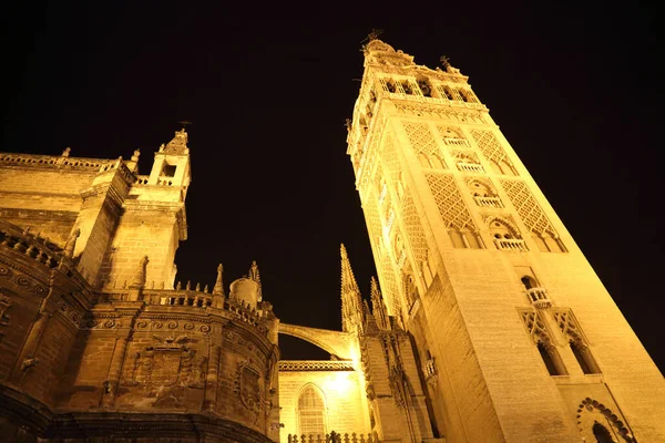 Seville Spanien Oktober 2017 Santa Maria Katedralen Natten — Stockfoto