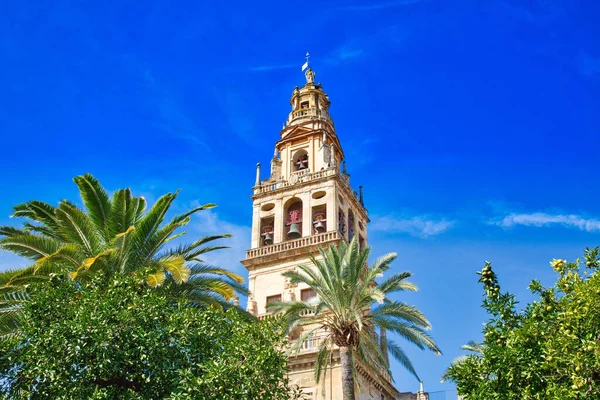 Catedral Mezquita Dia Ensolarado Brilhante Coração Centro Histórico Córdoba — Fotografia de Stock
