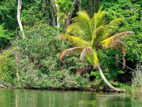 Vista Panoramica Rio Dulce Sulla Strada Livingston Città Barca — Foto Stock