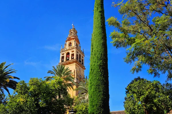 Catedral Mezquita Córdoba Espanha — Fotografia de Stock