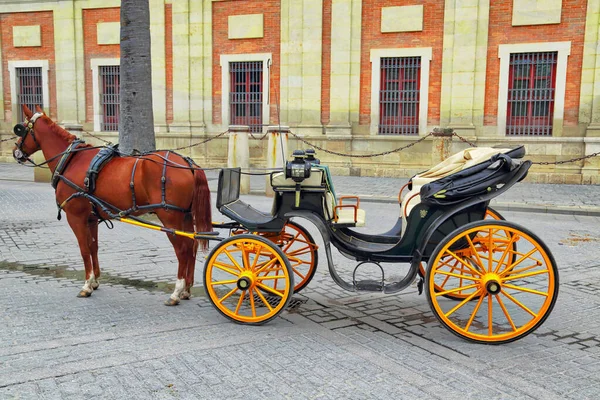 Carruagem Cavalo Frente Catedral Sevilha Santa Maria — Fotografia de Stock