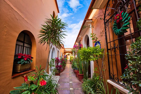 Oaxaca Cênicas Ruas Cidade Velha Coloridos Edifícios Coloniais Centro Histórico — Fotografia de Stock