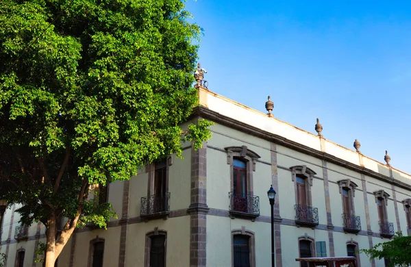 Színes Guadalajara Utcák Történelmi Belvárosában Közel Központi Székesegyházhoz — Stock Fotó