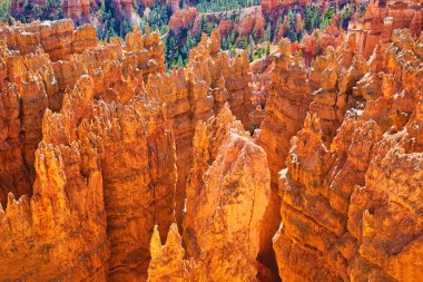 Bryce Ulusal Parkı Utah, ABD