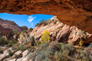 Manzaralı Zion Park Manzaraları
