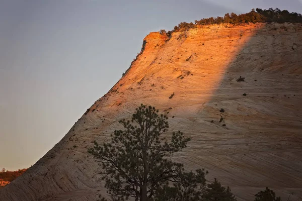 Zion National Park Paisagens Cênicas Utah Eua — Fotografia de Stock