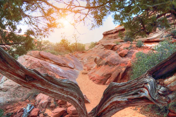 Scénická Krajina Zion Park Při Západu Slunce — Stock fotografie