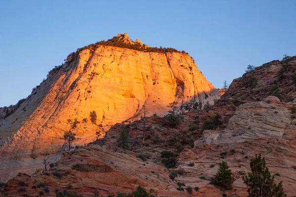 Zion Park Manzaraları Gün Batımında — Stok fotoğraf