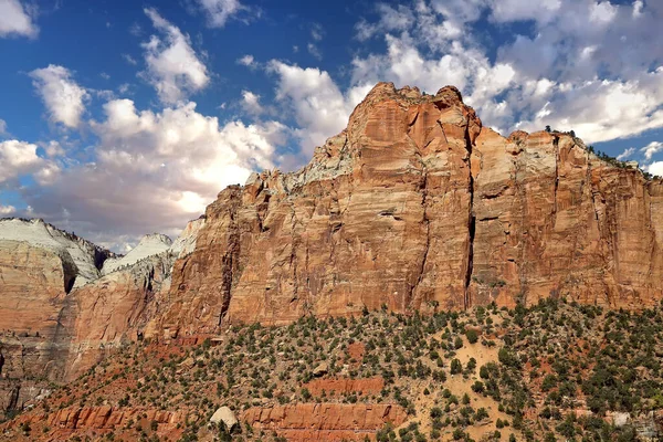 Zion National Park Scenic Landscapes Utah Estados Unidos — Foto de Stock