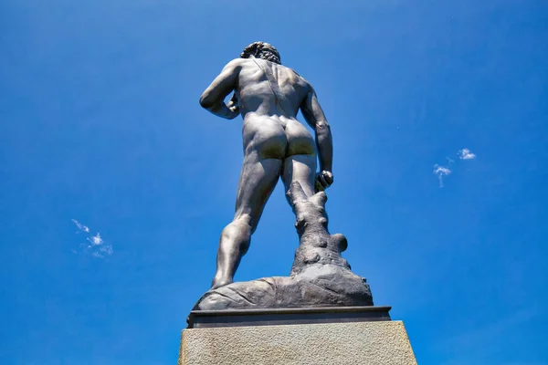 Buffalo Usa Juli 2019 Replica Michelangelo Standbeeld Van David Vinden — Stockfoto