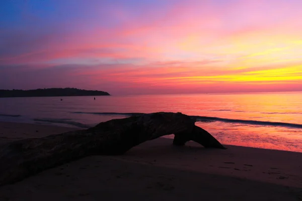 günlük ve tropikal adada plaj